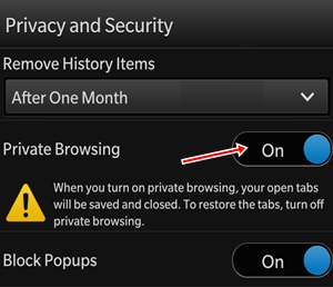 Private Browsing