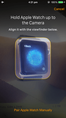 Watch Face inside viewfinder