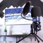Best budget Mic for Vloggers and Gamers under 50 dollars